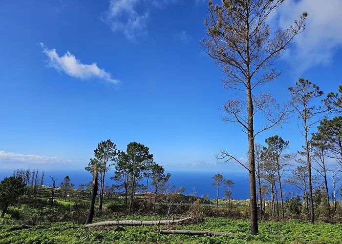 Maravilha Da Costa